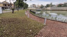 Taman grassblock IT PLN hasil akhir